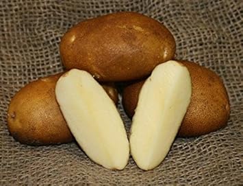 Brown Potatoes Vegetable Seeds for Planting heirloom & Non-GMO Seeds